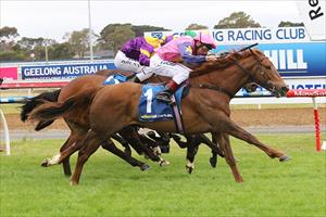 Impressive Australian debut for Bajour